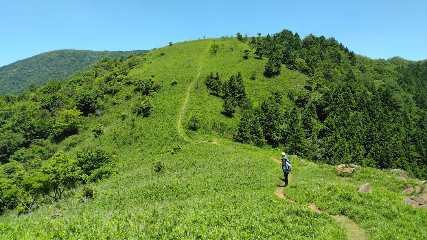 夏の陽きらめく大江山連峰、赤石ヶ岳へ 【舞鶴山遊会】 | 京都北部 山