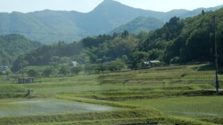 Thumbnail of new posts 110