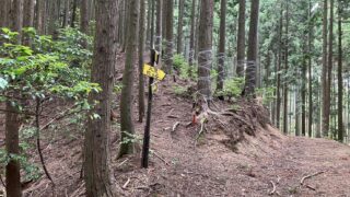 Thumbnail of new posts 163