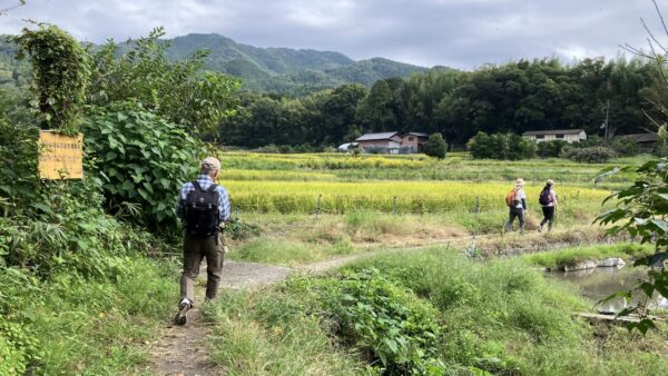 Thumbnail of post image 081