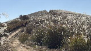 Thumbnail of new posts 083