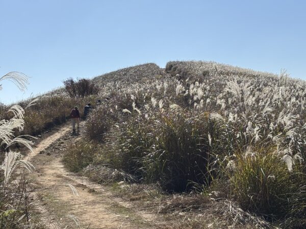 Thumbnail of post image 134