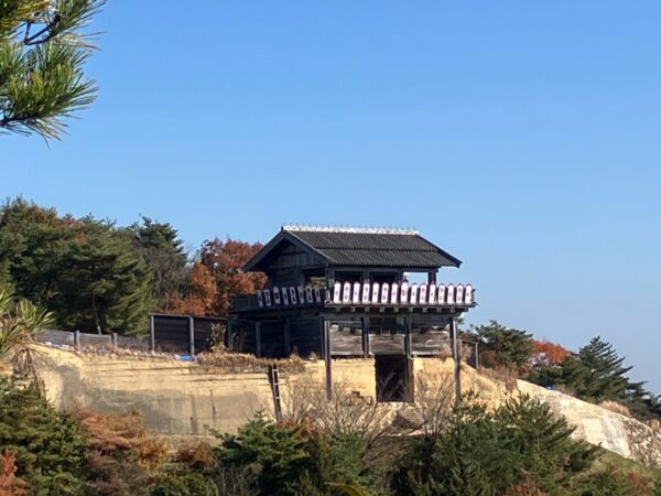 Thumbnail of post image 060