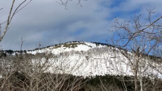 Thumbnail of new posts 069