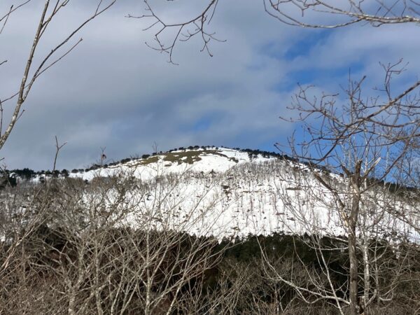 Thumbnail of post image 020