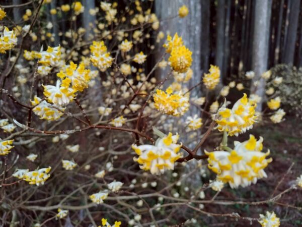 Thumbnail of post image 012