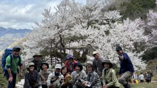 Thumbnail of new posts 013