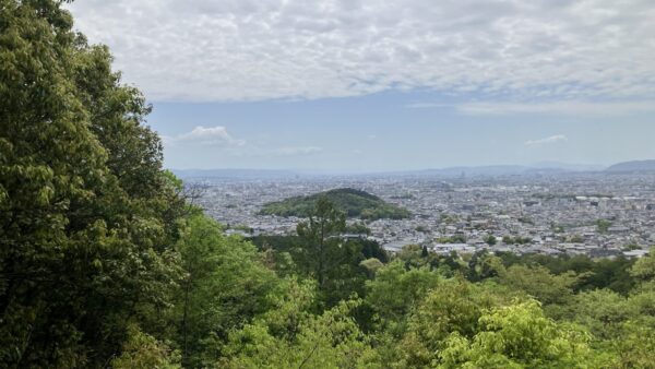 Thumbnail of post image 165