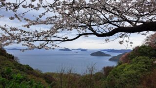 Thumbnail of new posts 087