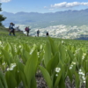 Thumbnail of related posts 171