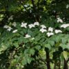 Thumbnail of related posts 081