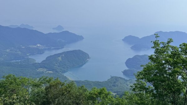 Thumbnail of post image 079