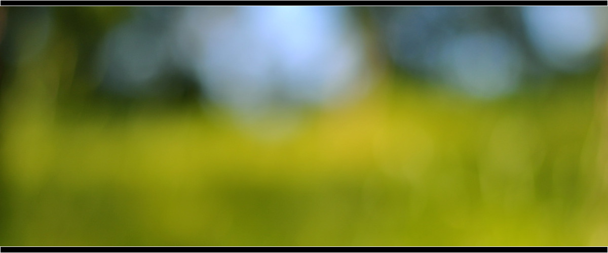 Bokeh (ボケ)