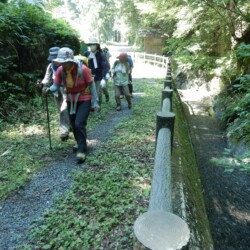 さあ~、元気にスタートです。