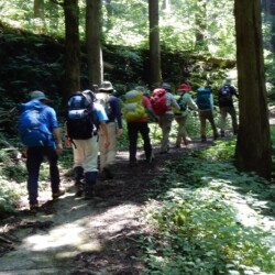 足並みそろえて歩きましょう。