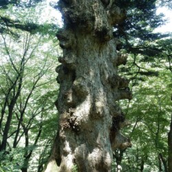 見る方向を変えるとこんな感じです。