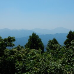 お弁当が済むとちょっと離れた展望台に行きましたが、労力の割には眺めがもうひとつでした。