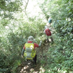 さあ~、帰り道は急な下り坂です。気持ちを引き締めていきましょうね。