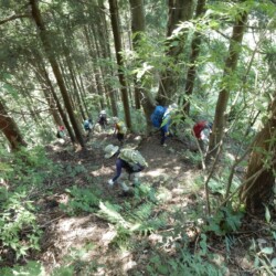 さあ~、ドンドン下りましょう。でも、あまりにも急すぎて膝がゲラゲラ笑っています。