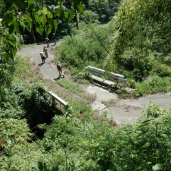 やっと林道に下りてきました。