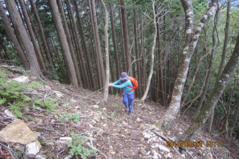 鷹取山への径は、かなりつらい直登です。