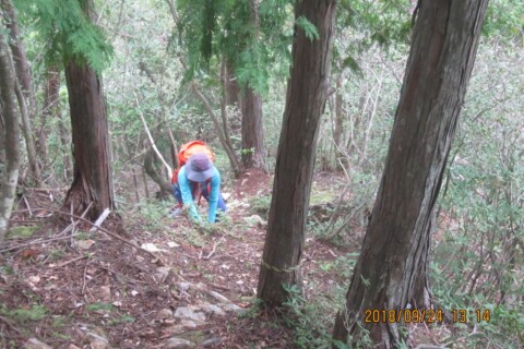 今度もロープにお世話になります。三点確保で登る岩場もありました。