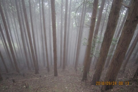 急登で、下から霧が上がってきます。