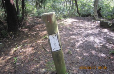ようやく林道分岐まできました。