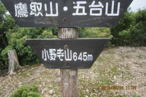 五台山からすぐに小野寺山につきました。