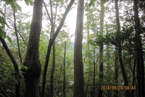 親不知の山並が見えます。