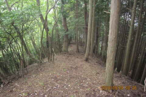 穴裏峠からは尾根沿いに進みます。