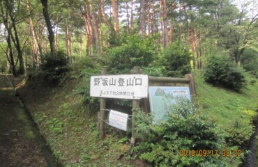ここから登り始めます。いきなりの急登です。