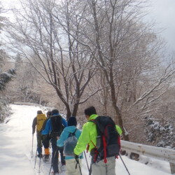 やすらぎの里広場へ直行コース