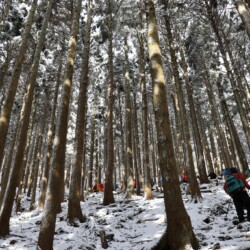 双峰乗越コース