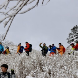 いつもと違う風景をカメラにおさめて