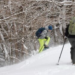 この日の午前中はパウダースノーでした