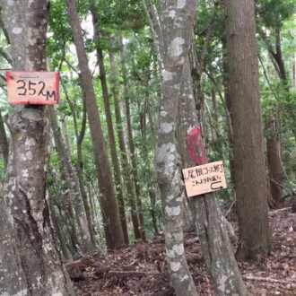 尾根コースの408m 地点です。