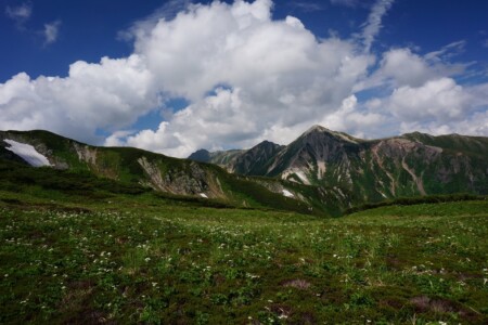 巻道お花畑と鷲羽岳