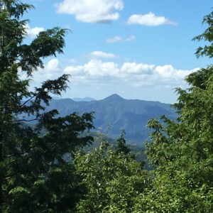 遠くに見える弥仙山