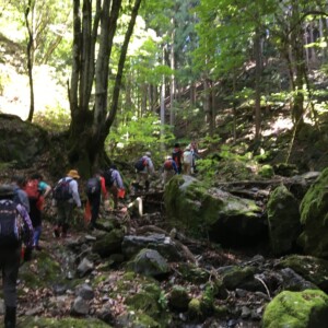 とちの実山に向かう