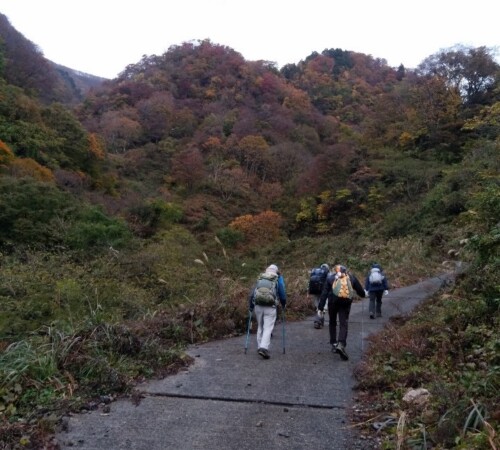 紅葉が美しい。