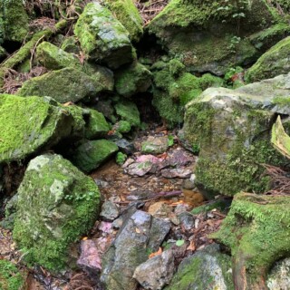 この水が、由良川までつながっています。感動!!