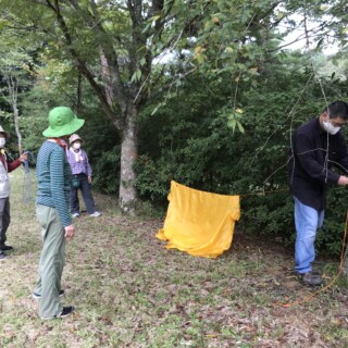 立ち木を2本利用してやってみました。ロープの結び方が難しい!