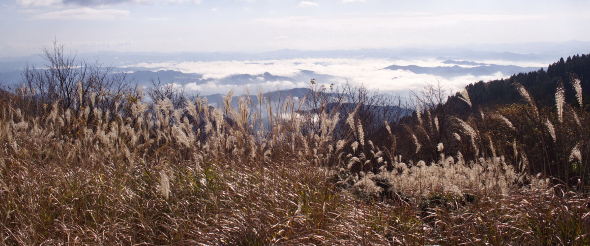大江山
