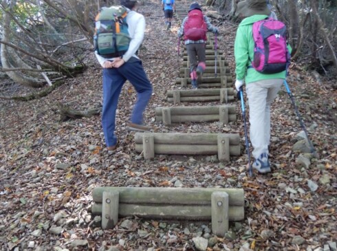 千丈ケ嶽への階段。トレランのお兄さんが、スイスイと抜かしていきました。