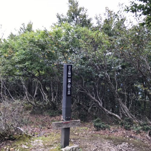 山頂はさらにススキ、クマササをかき分けて10分程度、ここから展望は望めません