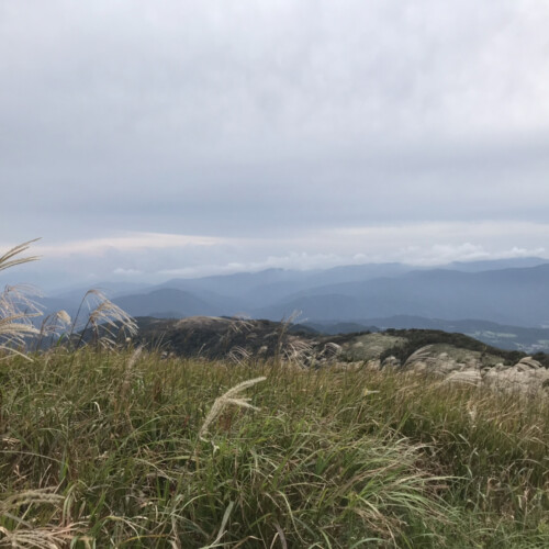 風になびくススキが美しく、気持ちの良い草原です