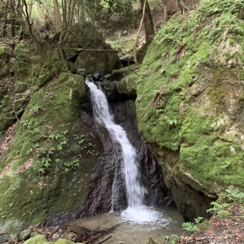 登山口から少し進むと「風神の滝」