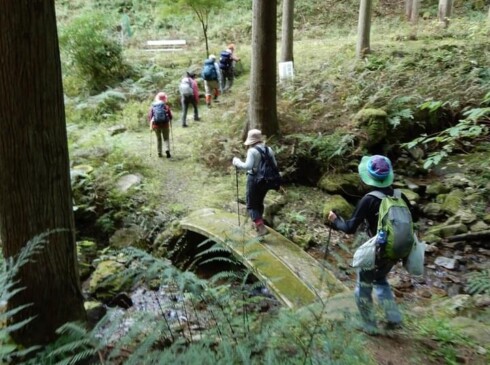 林道まで、みんな元気に戻ってきました。