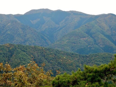 山頂から見る長老ケ岳。。おっきいーーーーー!!